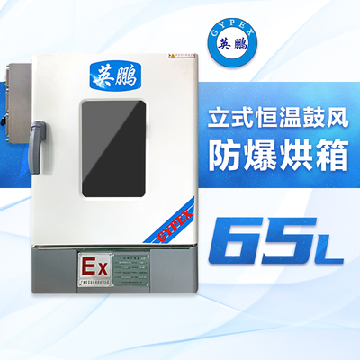 立式电热鼓风防爆烘箱65升-BYP-070GX-6.5GL