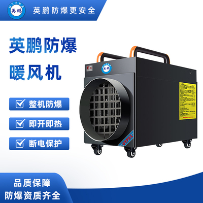 防爆不锈钢大功率电热管暖风机 BYT-10EX-FG