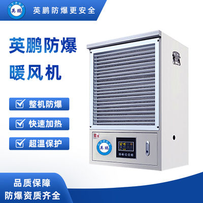 防爆电热丝工业暖风机 BYT-6EX-LNF