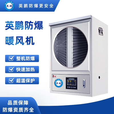 防爆电热丝工业暖风机 BYT-30EX-LNF