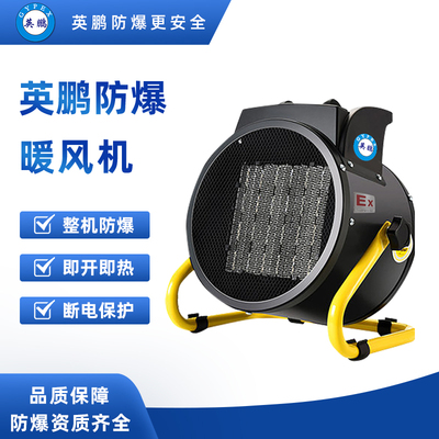防爆PTC半导体制热工业暖风机 BYT-2Ex-LD