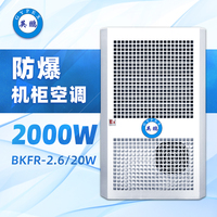 户外式 防爆机柜空调BKFR-2.6 20W