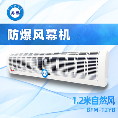 防爆自然风风幕机1.2米-BFM-12YB（DR）