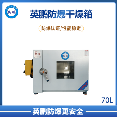 电加热鼓风防爆干燥箱70升-BYP-070GX-7GW